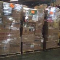 Florida Export Group From USA