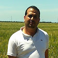 Anis Chaali