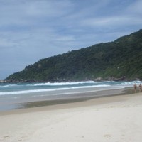 Humberto Guglielmone