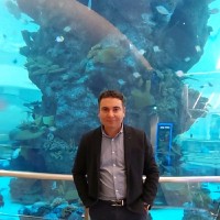 Samir Amer