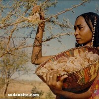 Elameen Eltoum