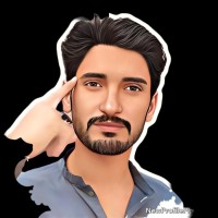 Muhammad Sheraz Ali