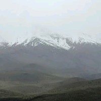 Elizabeth T. Enríquez