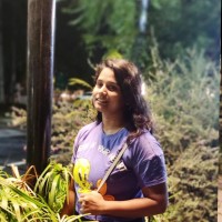 Nandhini R S