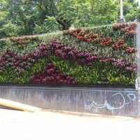 Jardines verticales.