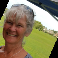 cheryl jarvis