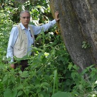 Deepak Wanchoo
