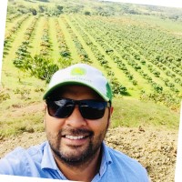 Freiman Orozco Calambas