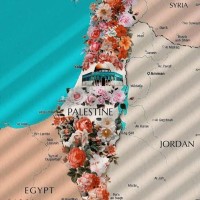 Amr Ibrahim