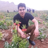 Esmail moradi