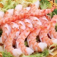 Shrimp Export
