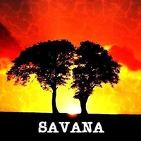 Savana Uk