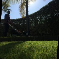 مراد العباسي