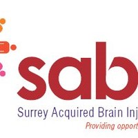 Surrey ABIN