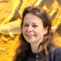 Sari Saukkonen