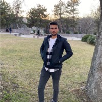 Erdem Furkan Şahin