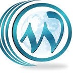 Web India Solution