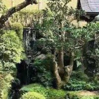 朱湘华