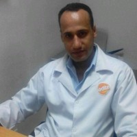 Gerges Anis