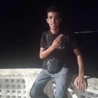 walid boukhalfa