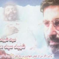 Hamid Safaei