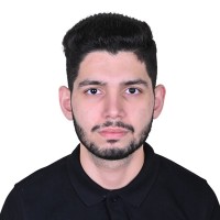 Mesum Ali Syed