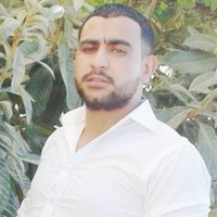 Shady Baradea