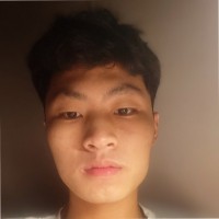 Manh Phung