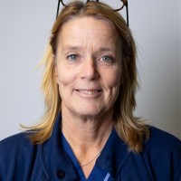 Anneli Norevik