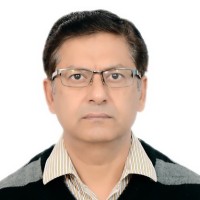 Raman Ahuja