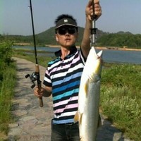 Xunfei Wang