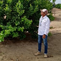 Edmundo Fernando Paucar Medianero
