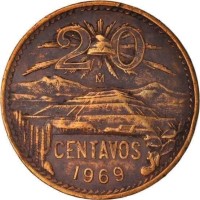 Saul Arellano Montoro