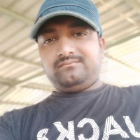 Anil K Sisodiya