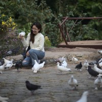 Nhung Phạm