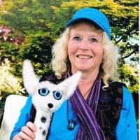vicki deBoer