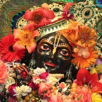 Varun Bhola