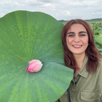 Negar Roshani