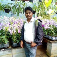 Amol Mohod
