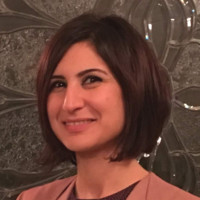 Dina Khaled Fikry