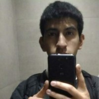 Cristian Del Carpio Arce