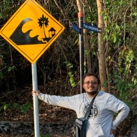 widi atmoko