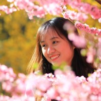 Tran Lam Quynh Trang