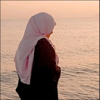 Arshi Sayyed