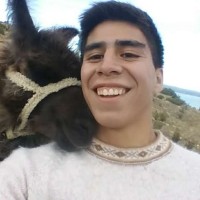 Martin Herrera