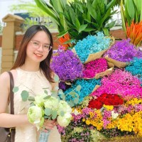 Ha Phuong Phan