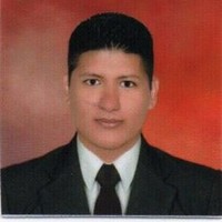 Luis Fernando Tejerina Flores