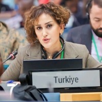 Aysun Demet, Ph.D.