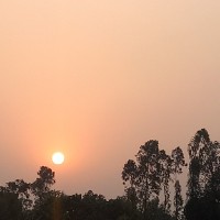 Mousumi Akter Mou