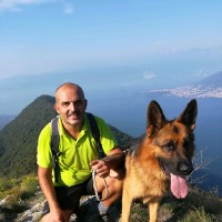 Enzo Baldari